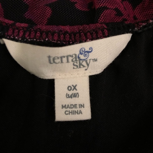 Terra & Sky Women's Sheer Dress OX 14W Rose Floral Black/Burgundy Moody Romantic - Picture 10 of 11